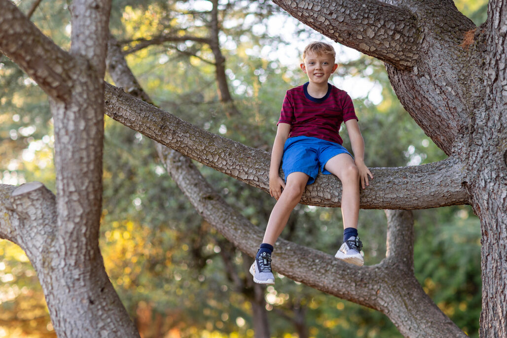 Child in tree